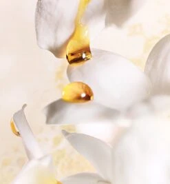 Dior J'adore 150 Ml - Eau De Parfum - Damesparfum -Parfum Winkel 1110x1200 2