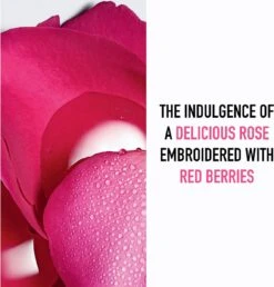 Miss Dior Absolutely Blooming 50 Ml - Eau De Parfum - Damesparfum -Parfum Winkel 1147x1200 1