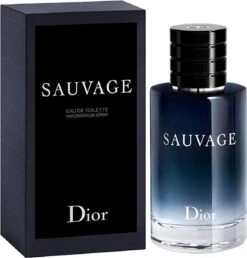 Dior Sauvage 60 Ml - Eau De Toilette - Herenparfum -Parfum Winkel 1151x1200 2