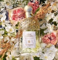 Guerlain Aqua Allegoria Nerolia Vetiver Eau De Toilette Spray 75 Ml 9 Guerlain Aqua Allegoria Nerolia Vetiver Eau De Toilette Spray 75 Ml -Parfum Winkel 1165x1200