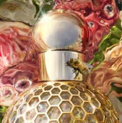 Guerlain Aqua Allegoria Nerolia Vetiver Eau De Toilette Spray 75 Ml 10 Guerlain Aqua Allegoria Nerolia Vetiver Eau De Toilette Spray 75 Ml -Parfum Winkel 1188x1200 1