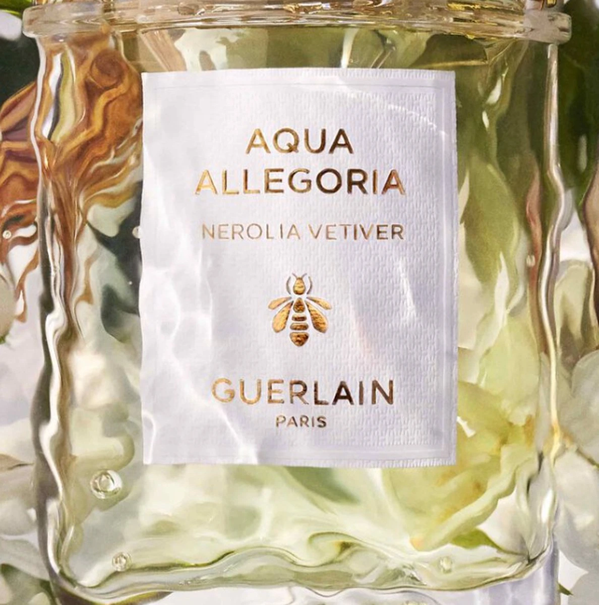 Guerlain Aqua Allegoria Nerolia Vetiver Eau De Toilette Spray 75 Ml 6 Guerlain Aqua Allegoria Nerolia Vetiver Eau De Toilette Spray 75 Ml - Afbeelding 6