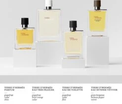 Hermès Terre D'Hermès 50ml - Eau De Toilette - Herenparfum -Parfum Winkel 1200x1014 5