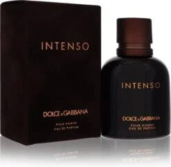 Dolce & Gabbana Intenso Pour Homme - 75 Ml - Eau De Parfum -Parfum Winkel 1200x1172 4
