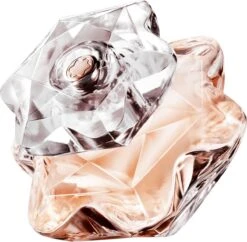 Mont Blanc Lady Emblem - 50 Ml - Eau De Parfum Spray - Damesparfum 28 Mont Blanc Lady Emblem - 50 Ml - Eau De Parfum Spray - Damesparfum -Parfum Winkel 1200x1178 1