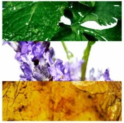 Davidoff Cool Water 125 Ml - Eau De Toilette - Herenparfum -Parfum Winkel 1200x1186 1