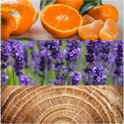 Calvin Klein Obsession 125 Ml - Eau De Toilette - Herenparfum -Parfum Winkel 1200x1194 1