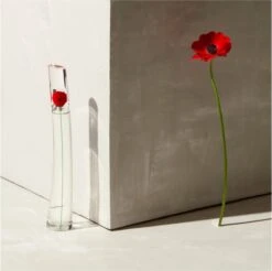 Kenzo Flower 30 Ml - Eau De Parfum - Damesparfum -Parfum Winkel 1200x1197 2