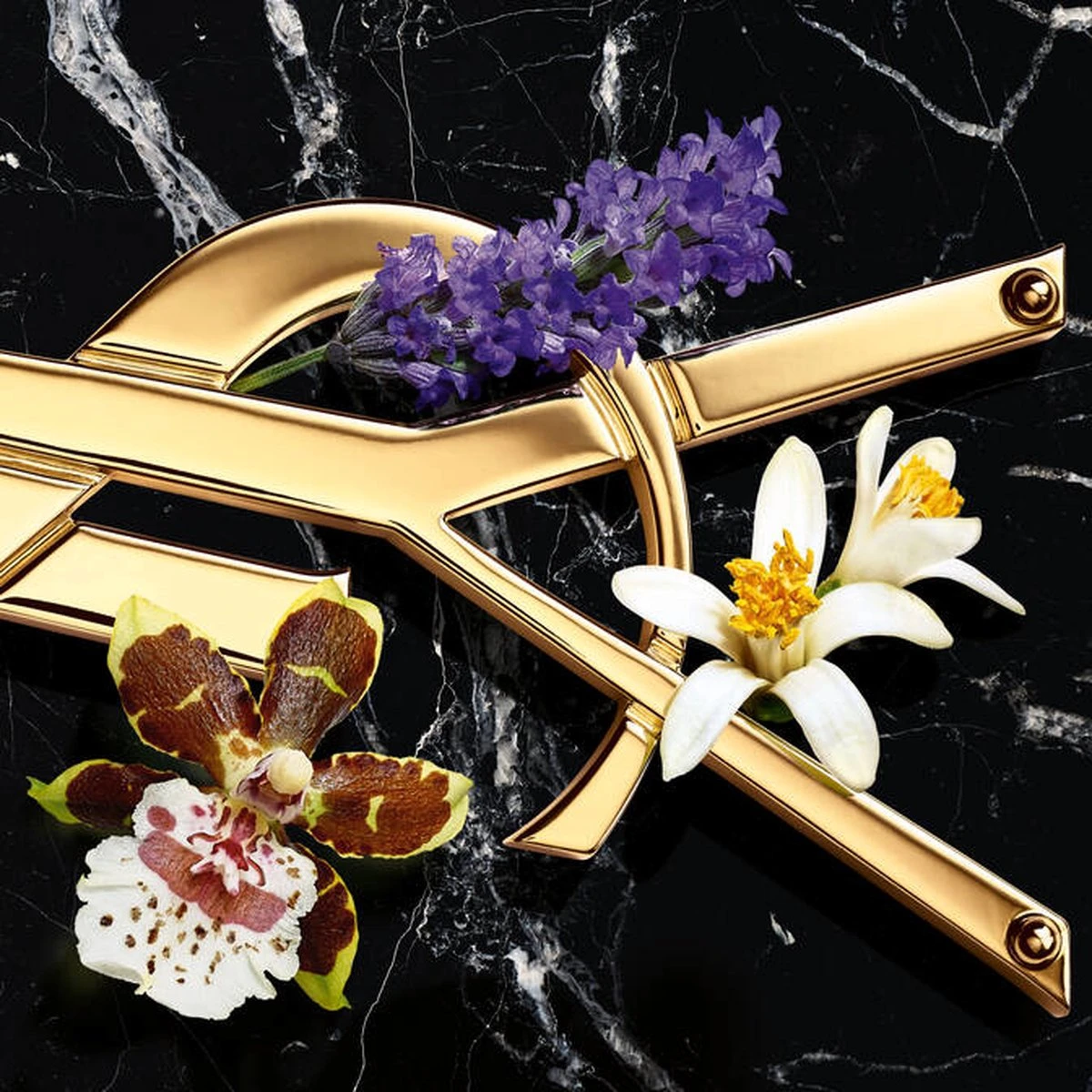 Yves Saint Laurent Libre Intense 90 Ml - Eau De Parfum - Damesparfum 2 Yves Saint Laurent Libre Intense 90 Ml - Eau De Parfum - Damesparfum - Afbeelding 2