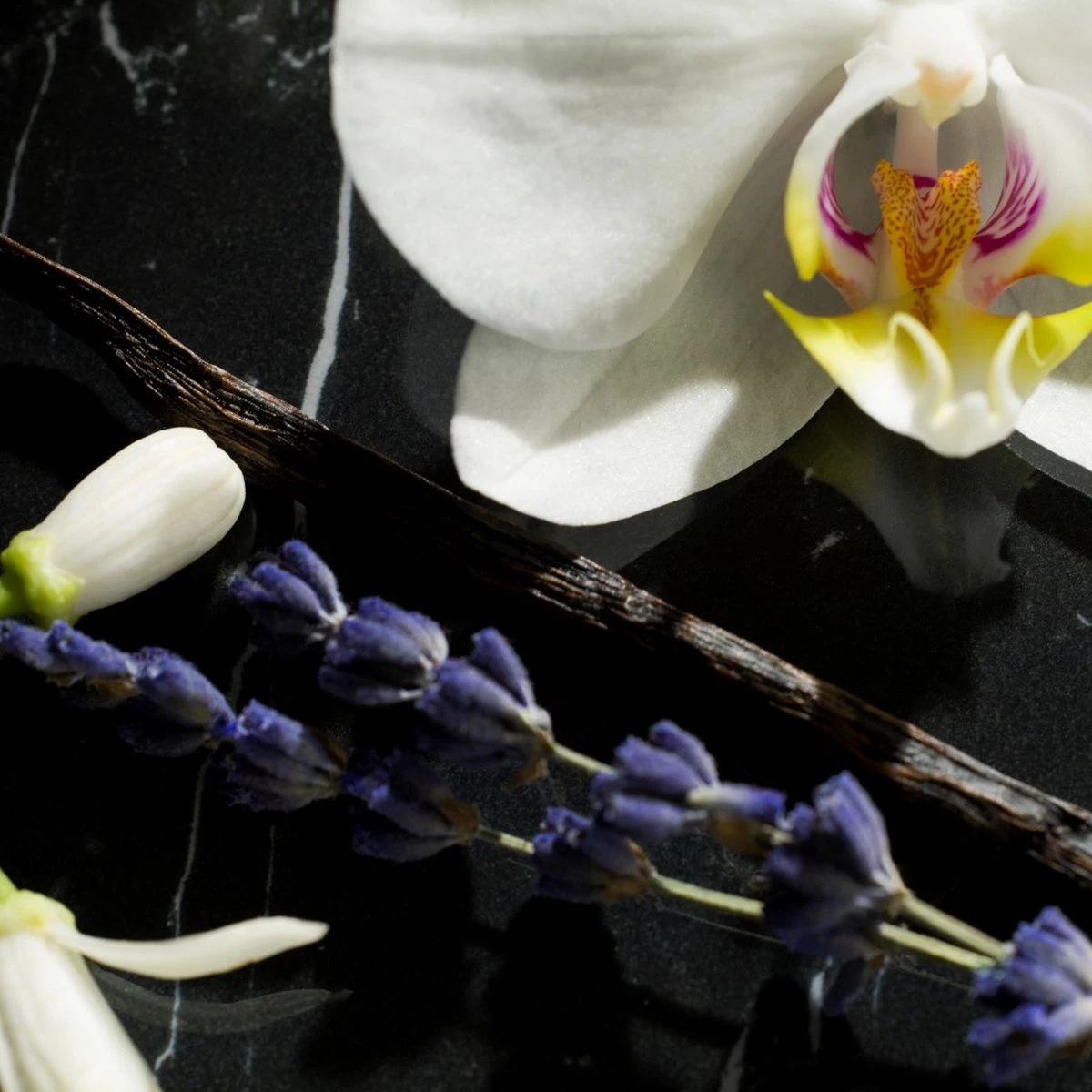 Yves Saint Laurent Libre Intense 90 Ml - Eau De Parfum - Damesparfum 4 Yves Saint Laurent Libre Intense 90 Ml - Eau De Parfum - Damesparfum - Afbeelding 4