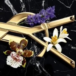 Yves Saint Laurent Libre Intense 90 Ml - Eau De Parfum - Damesparfum 15 Yves Saint Laurent Libre Intense 90 Ml - Eau De Parfum - Damesparfum -Parfum Winkel 1200x1200 151