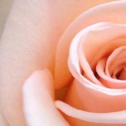 Spider-Man Eau De Toilette Spray - 100 Ml - Parfum Voor Kinderen -Parfum Winkel 1200x1200 379