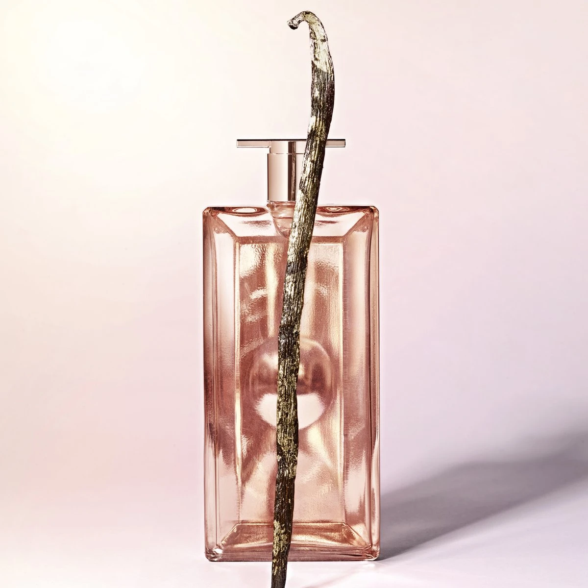 Lanc“me - Id“le L'Intense - 50 Ml - Eau De Parfum 5 Lanc“me - Id“le L'Intense - 50 Ml - Eau De Parfum - Afbeelding 5