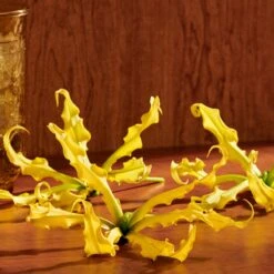 Gucci Guilty Pour Femme Eau De Parfum Intense -Parfum Winkel 1200x1200 7