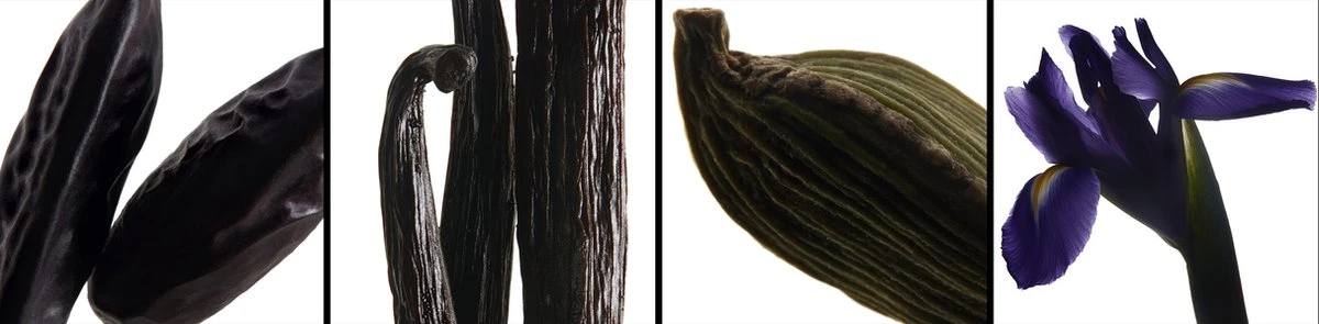 Yves Saint Laurent La Nuit De L'Homme 100 Ml - Eau De Toilette - Herenparfum 5 Yves Saint Laurent La Nuit De L'Homme 100 Ml - Eau De Toilette - Herenparfum - Afbeelding 5