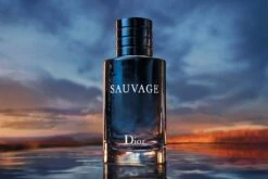 Dior Sauvage 100 Ml - Eau De Toilette - Herenparfum -Parfum Winkel 1200x800 20