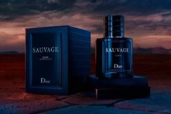 Dior Sauvage - Elixir De Parfum 100ml -Parfum Winkel 1200x800 24