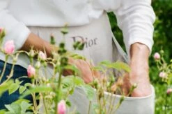 Miss Dior Absolutely Blooming 50 Ml - Eau De Parfum - Damesparfum -Parfum Winkel 1200x800 8