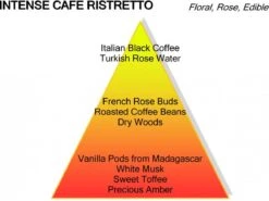 Montale Ristretto Intense Café Extrait De Parfum 100 Ml -Parfum Winkel 1200x898 1