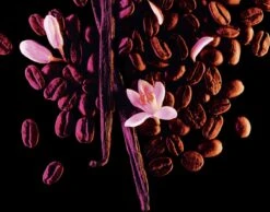 Yves Saint Laurent Black Opium 30 Ml - Eau De Parfum - Damesparfum -Parfum Winkel 1200x943