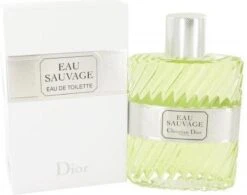 Dior Eau Sauvage 100 Ml - Eau De Toilette - Herenparfum -Parfum Winkel 1200x945 1