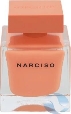 Narciso Rodriguez Narciso Ambree - 90 Ml - Eau De Parfum Spray - Damesparfum -Parfum Winkel 751x1200