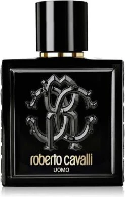 Roberto Cavalli Uomo Eau De Toilette Spray 100 Ml -Parfum Winkel 763x1200 3