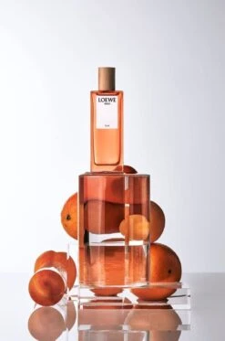 Loewe - Damesparfum - Solo Ella - Eau De Parfum 50 Ml 7 Loewe - Damesparfum - Solo Ella - Eau De Parfum 50 Ml -Parfum Winkel 795x1200 2