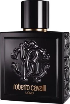 Roberto Cavalli Uomo Eau De Toilette Spray 100 Ml -Parfum Winkel 808x1200 6
