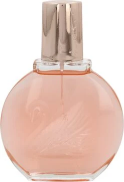 Miss Vanderbilt Eau De Toilette (edt) 100ml - Parfum - Valentijn - Vrouwen - Dames. -Parfum Winkel 819x1200