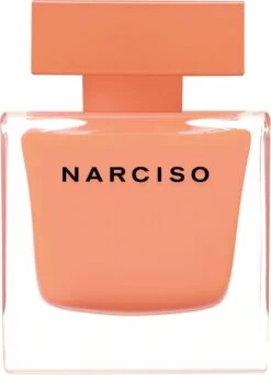 Narciso Rodriguez Narciso Ambrée 30 Ml - Eau De Parfum - Damesparfum -Parfum Winkel 867x1200 1