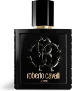 Roberto Cavalli Uomo Eau De Toilette Spray 100 Ml -Parfum Winkel 952x1200