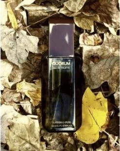 Puig Quorum Homme Edt Vapo M - Herenparfum -Parfum Winkel 955x1200 2